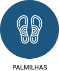 Categoria 06