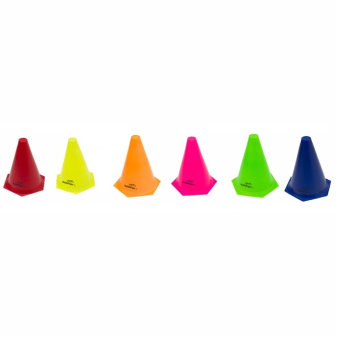 Cone 24cm 6 unidades AJGS