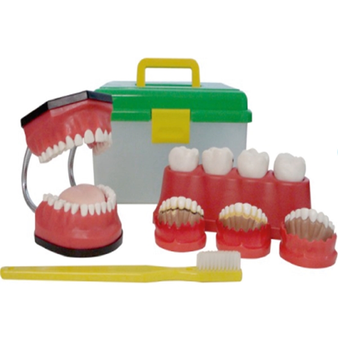 Macromodelo Odontologico Avançado - Kit Boção