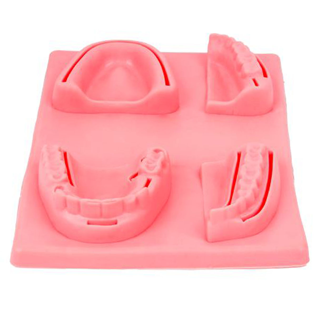 Simulador 3D Dental/Oral Treinamento De Sutura 175X125MM SG20 Ortho Pauher
