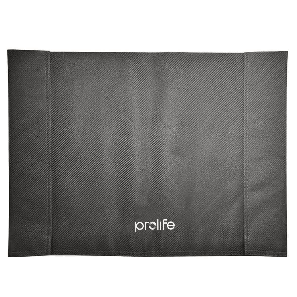 Encosto Cadeira de Rodas 44x42cm 4001 4002 101 102 Prolife