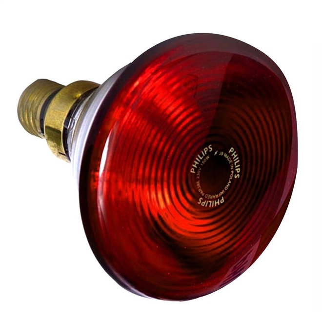 Lampada Infravermelho 230V 150W Philips