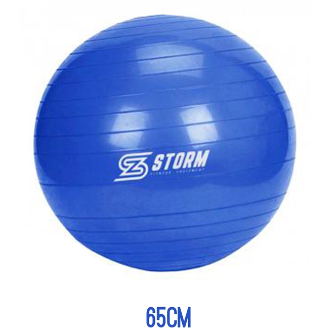 Bola Pilates Yoga Fisioterapia Suiça Ginástica 250kg Zstorm