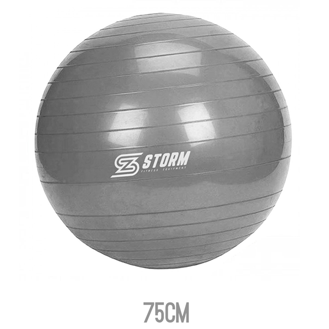 Bola Pilates Yoga Fisioterapia Suiça Ginástica 250kg Zstorm