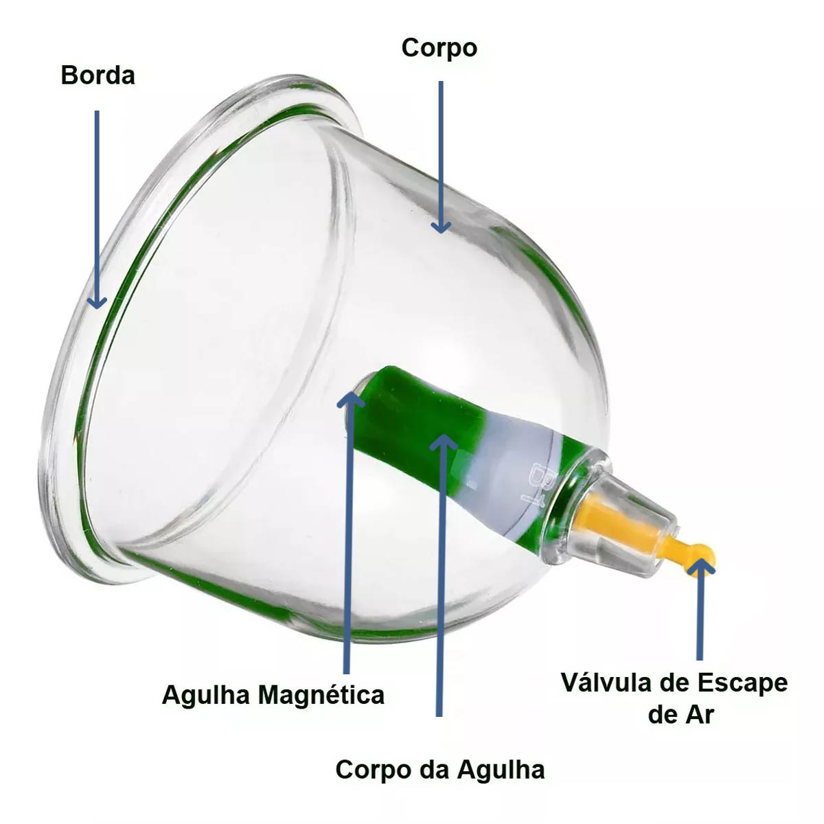 Kit de Ventosas Chinesa com 12 Copos e Bomba de Sucção de Ar 