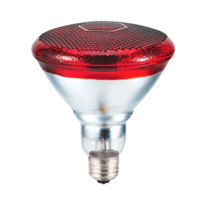 Lampada Emissora de Infravermelho Carci 220V