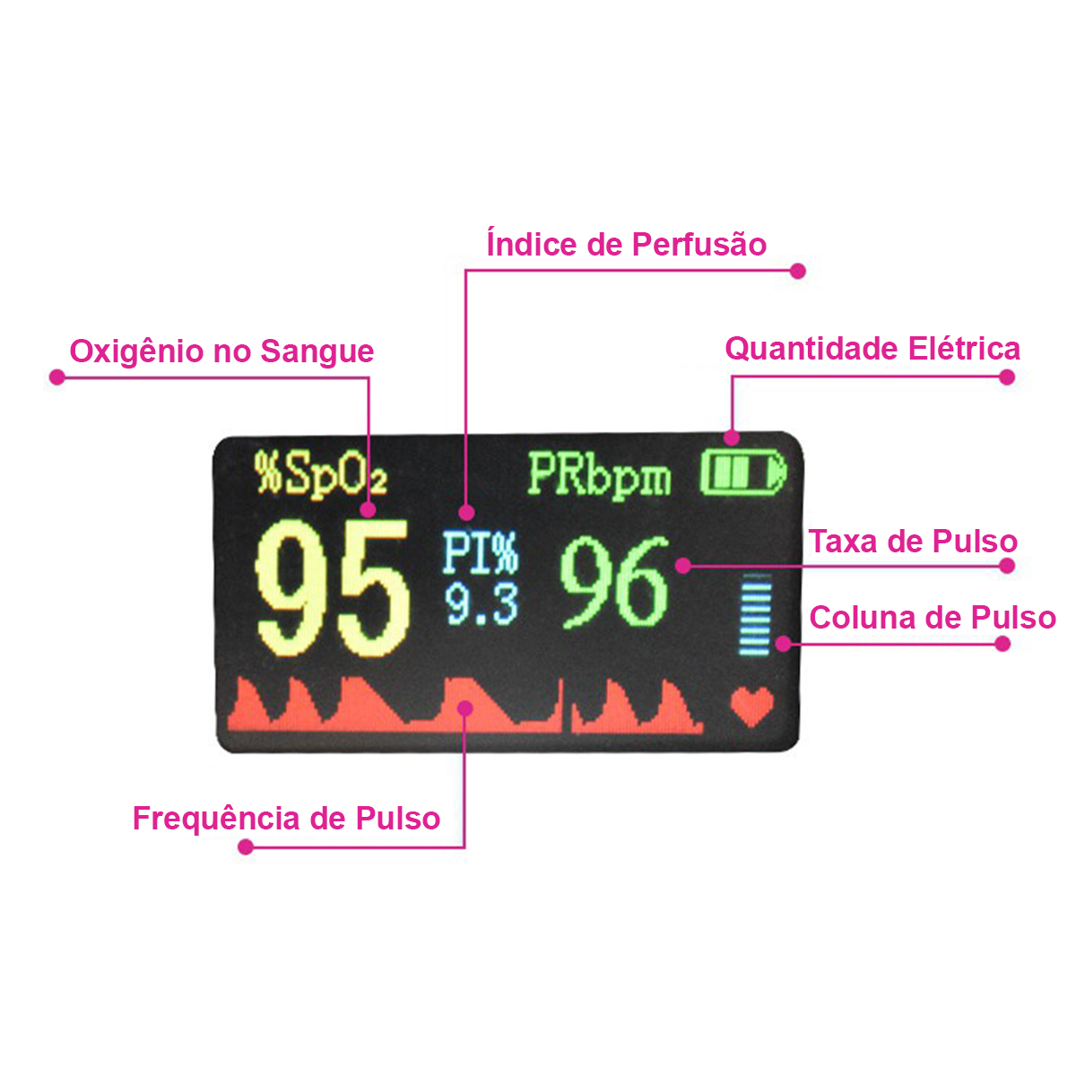 Oxímetro de Dedo Portátil com Curva TFT Winner