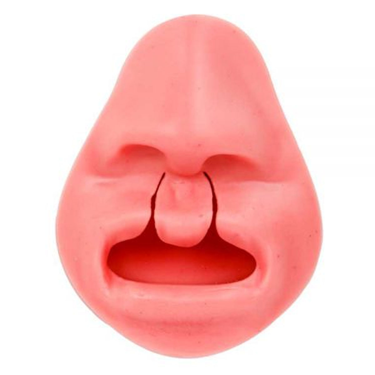 Simulador 3D Dental/Oral Treinamento De Sutura 175X125MM SG20 Ortho Pauher