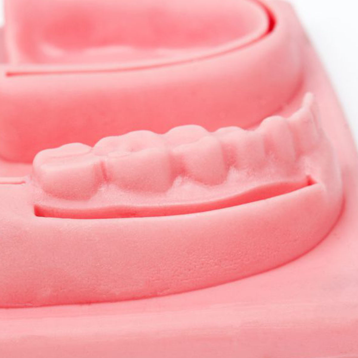 Simulador 3D Dental/Oral Treinamento De Sutura 175X125MM SG20 Ortho Pauher