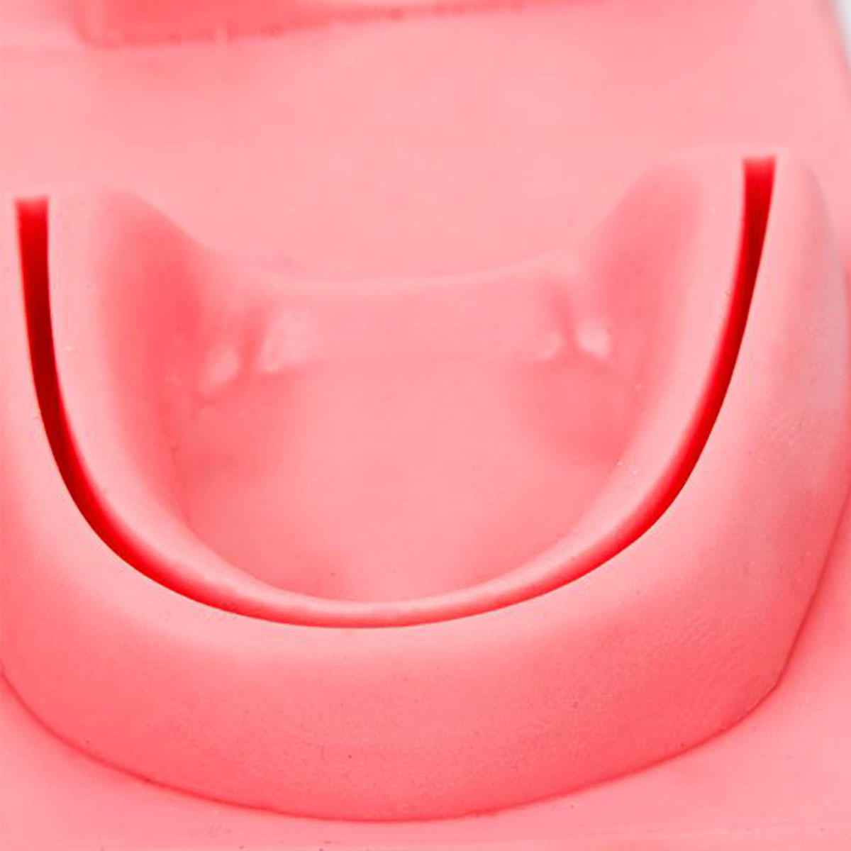 Simulador 3D Dental/Oral Treinamento De Sutura 175X125MM SG20 Ortho Pauher