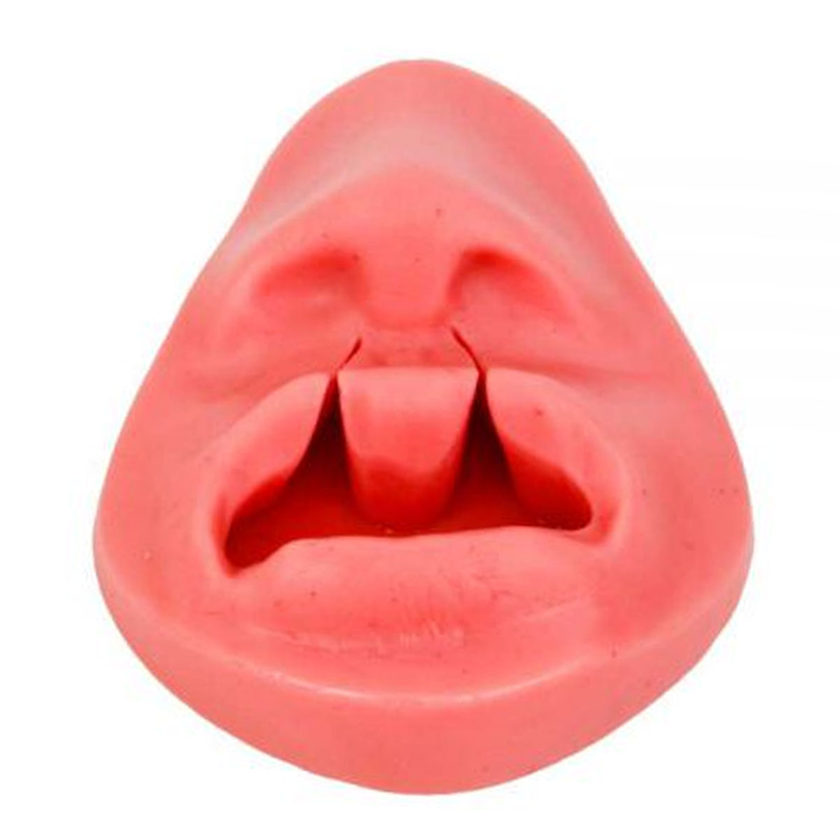 Simulador 3D Dental/Oral Treinamento De Sutura 175X125MM SG20 Ortho Pauher