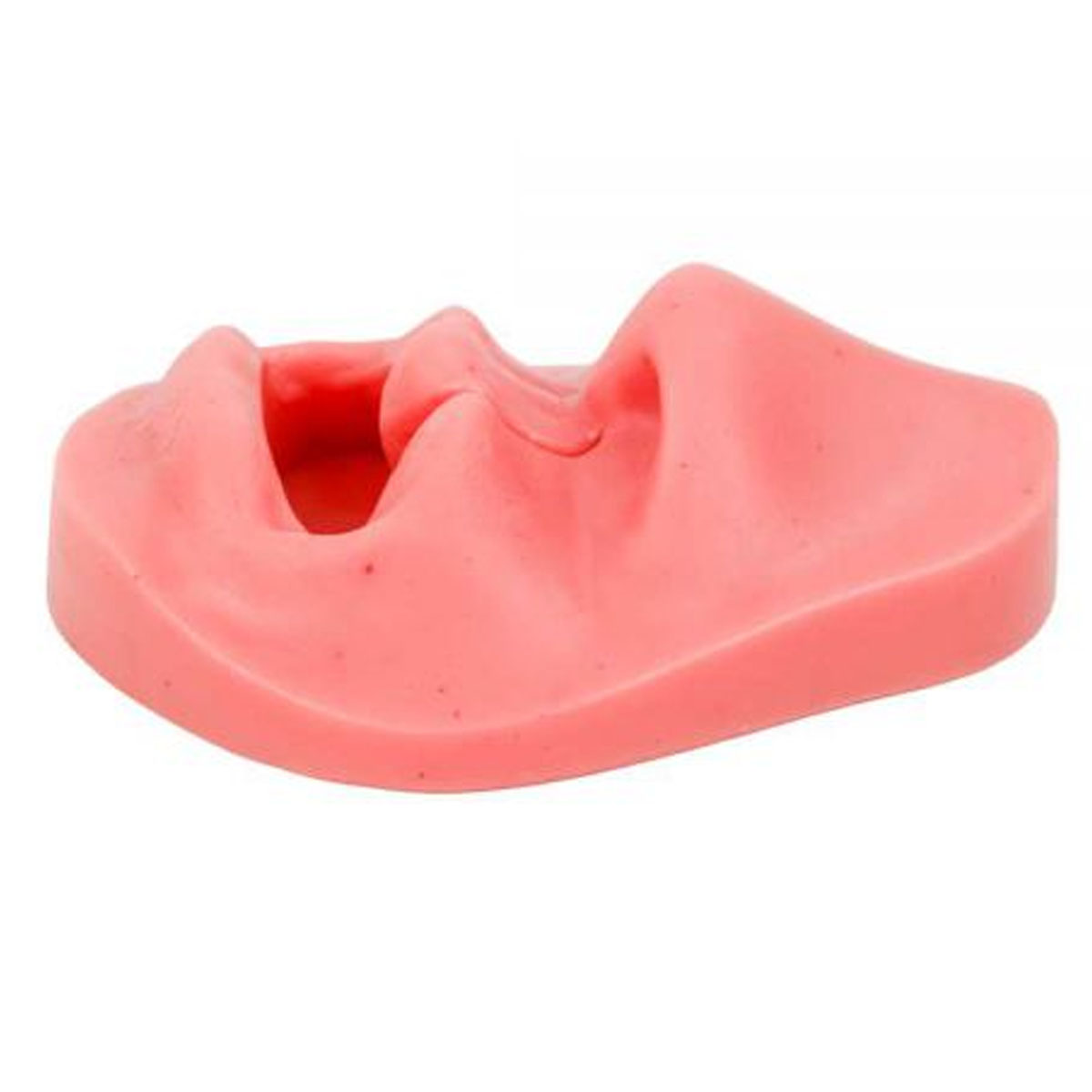 Simulador De Sutura Labio Leporino 115X85MM SG15 Ortho Pauher
