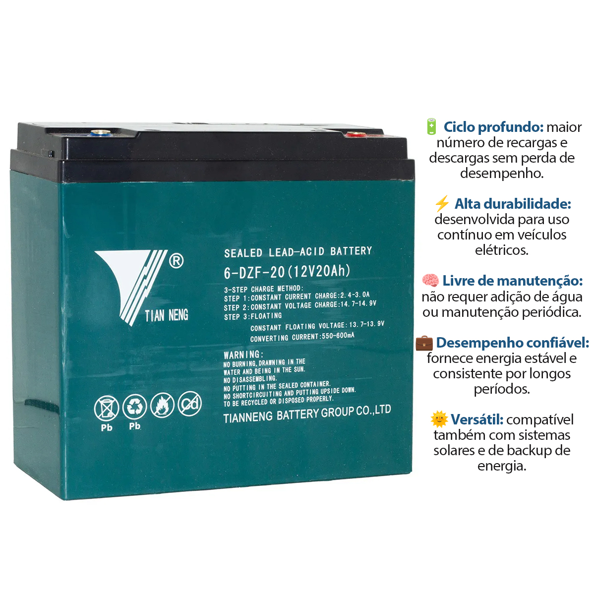 Bateria Chumbo Ciclo Profundo 12V 20AH Tian Neng