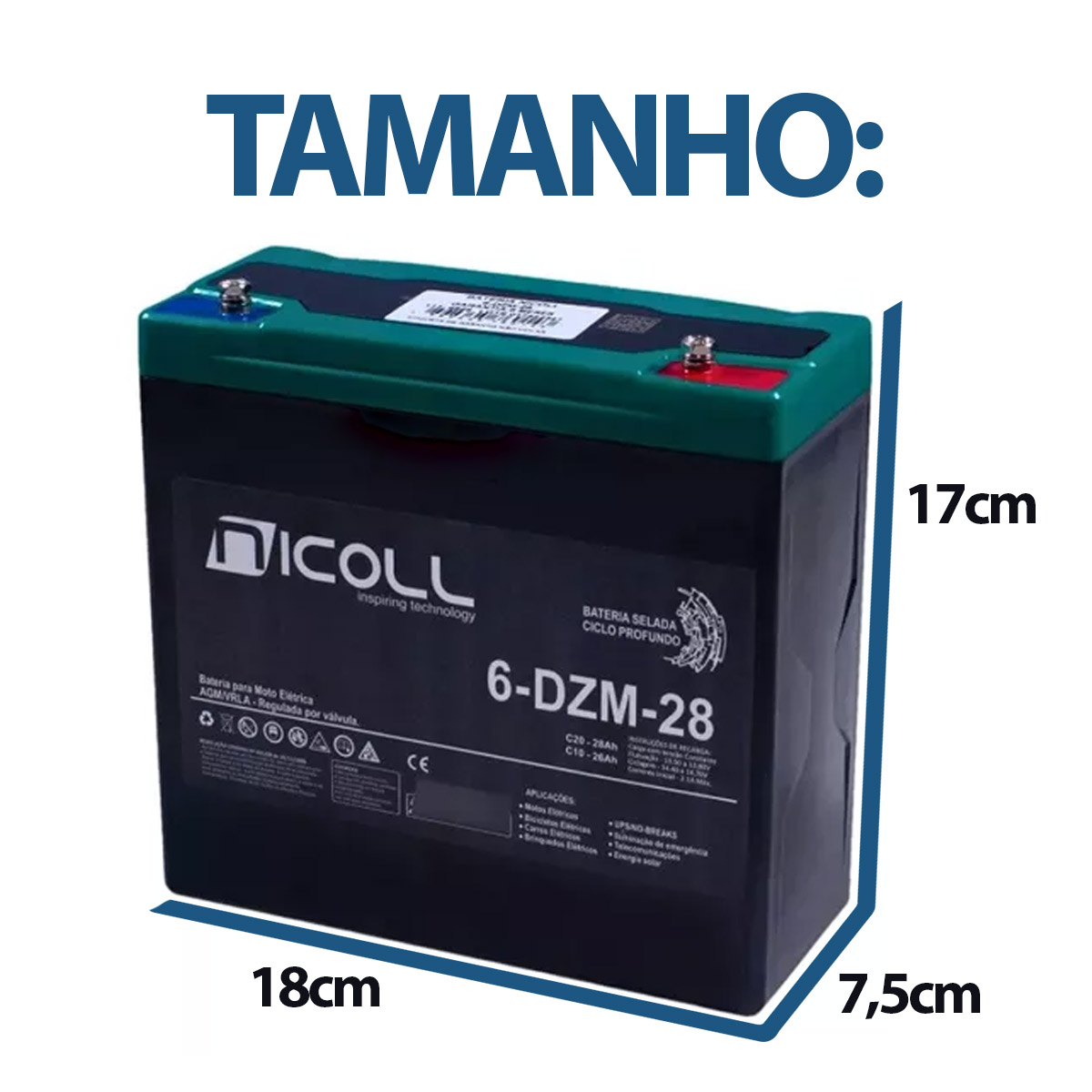 Bateria Selada 12V 28Ah para Triciclo Elétrico Nicoll